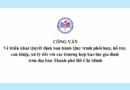 Công văn Về triển khai Quyết định ban hành Quy trình phối hợp, hỗ trợ, can thiệp, xử lý đối với các trường hợp bạo lực gia đình trên địa bàn Thành phố Hồ Chí Minh